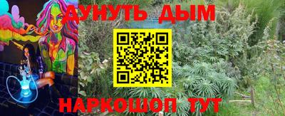 молекула духа Усть-Джегута
