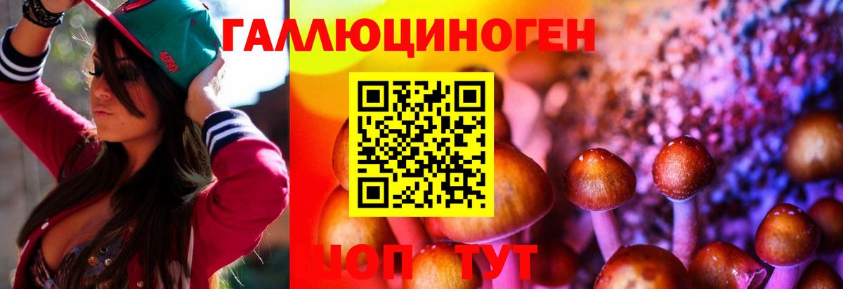 Мыски  как найти   Вход с VPN  Псилоцибиновые грибы GOLDEN TEACHER 